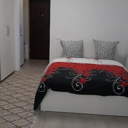 Irvin Apartament Iasi Exterior foto