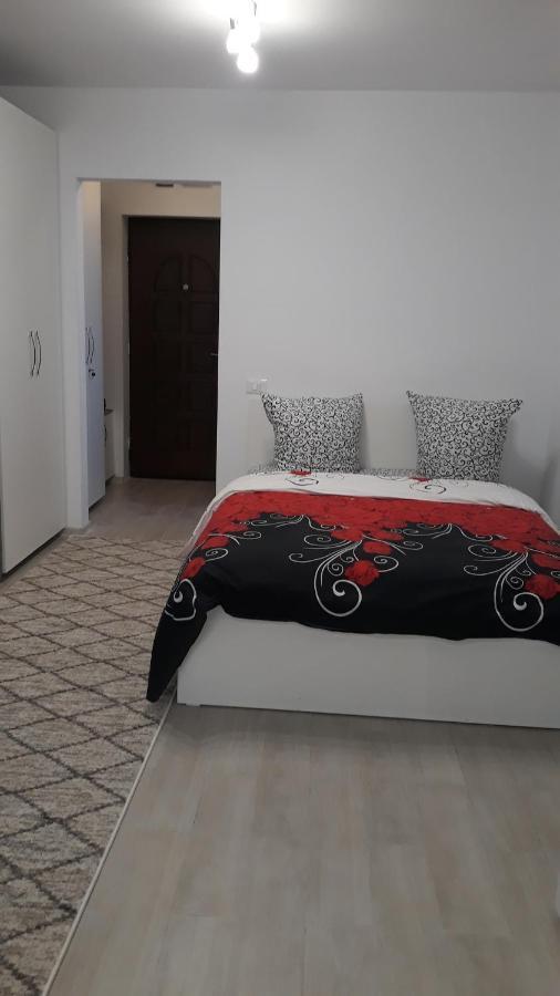 Irvin Apartament Iasi Exterior foto